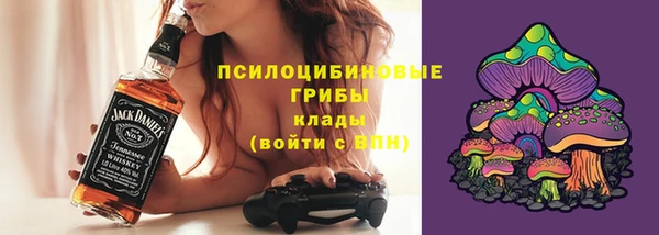 mix Бородино
