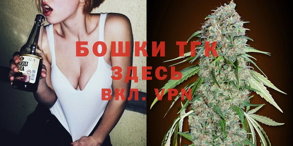 mix Бородино