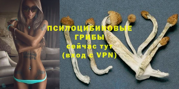 mix Бородино