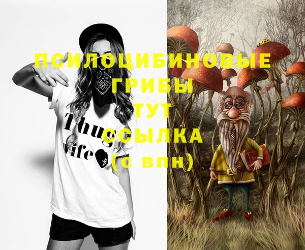 бошки Бутурлиновка