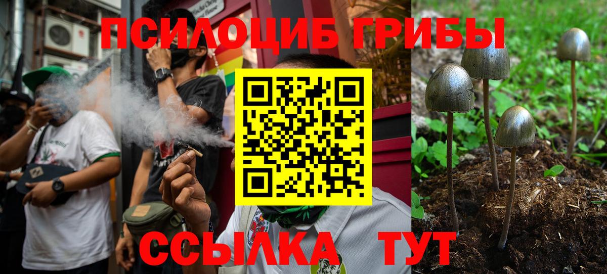 Воскресенск  Галлюциногенные грибы MAGIC MUSHROOMS  купить наркотик  Вход с VPN 